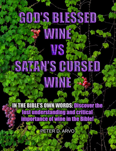 Is Drinking A Sin God's Blessed Wine VS Satan's Cursed Wine Image